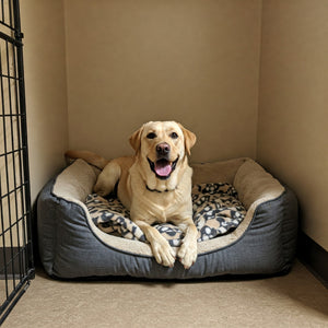 Are crates or kennels better for a dog?